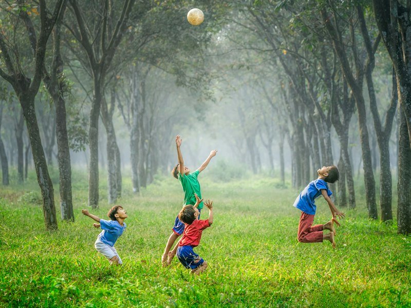 Educational Picnics and Outdoor Adventures